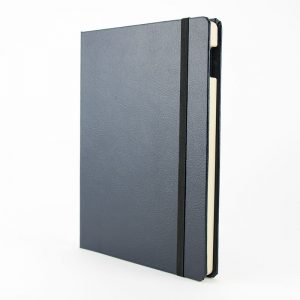 Blue iPad Case