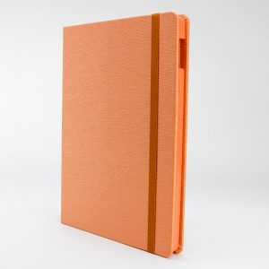 Tangerine Dream iPad Case